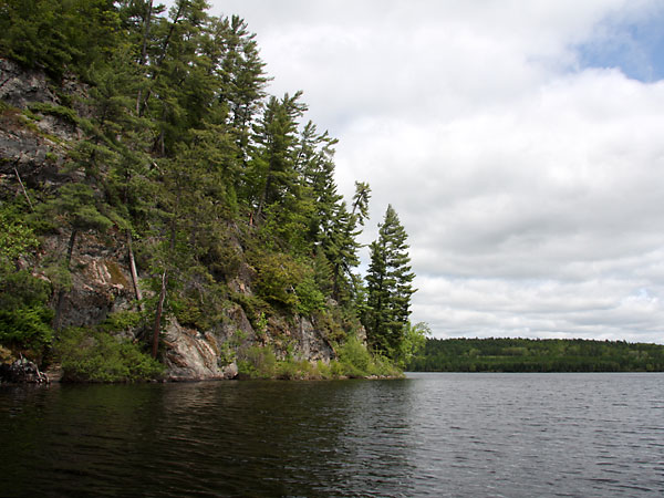 Island in Cartier Lake in the Petawawa Research Forest