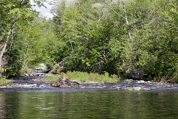 Cache Rapids on the Barron River in Algonquin Park