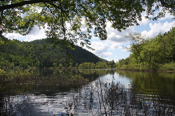 Turtle Lake at the top of Presquisle Bay