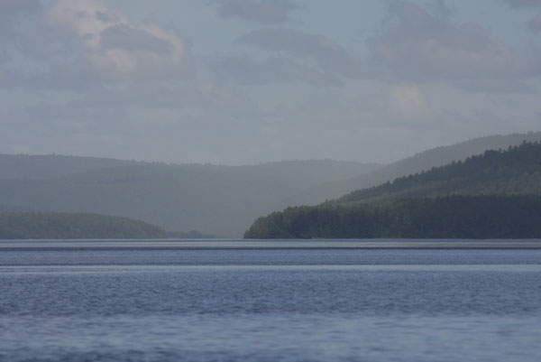 pine pollen on Ottawa River near Point Alexander