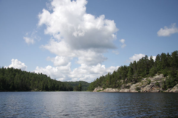Mouth of Carcajou Bay eastern Algonquin Park