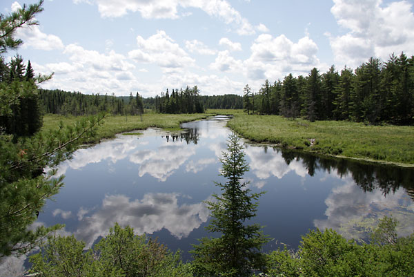 Carcajou Creek eastern Algonquin Park