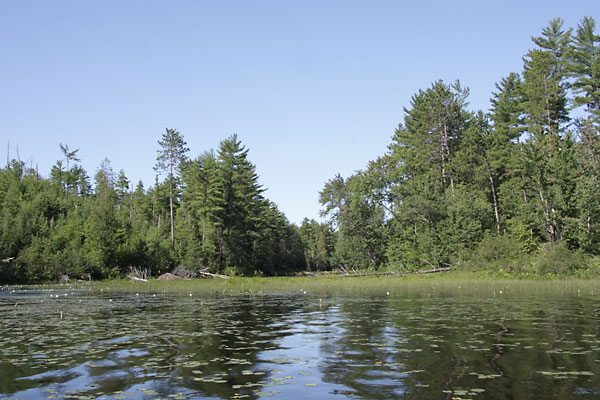 Looking towards Spoor Lake from McManus Lake in Algonquin Park