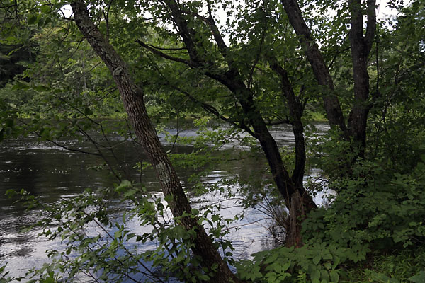 Petawawa River between Smith Lake and Whitson Lake in Algonquin Park