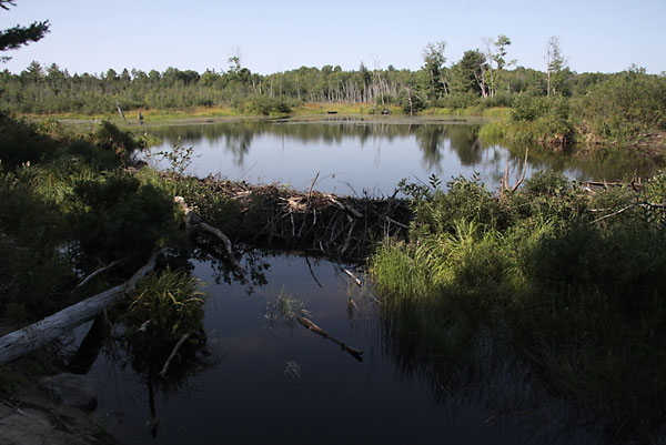 Kennedy Creek before it flows into the Ottawa River near Deep River