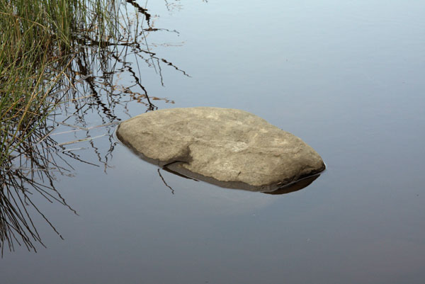 rock in Kennedy Creek as it flows into the Ottawa River near Deep River