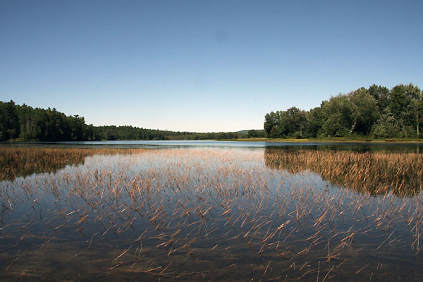 Whitson Lake on the Petawawa River in eastern Algonquin Park