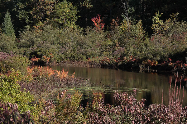 Chalk River near Hwy 17