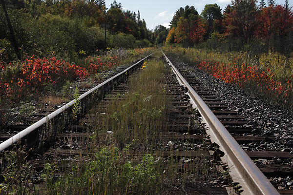 OVR railway tracks in the Petawawa Research Forest