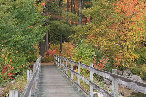 Walkway at the Deep River Marina