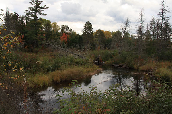 Pine River at Gunns Road just south of Algonquin Park