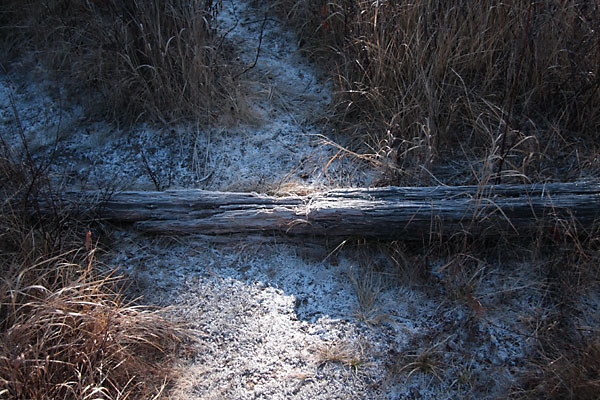 along Sunday Creek along the Big Pines Trail in Algonquin Park