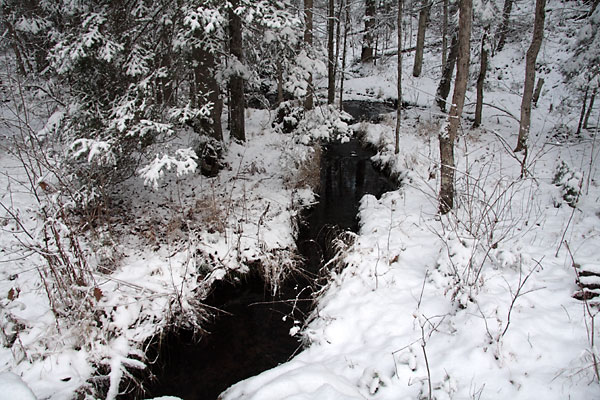 Unnamed Creek in the Petawawa Research Forest