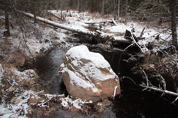 Unnamed Creek in the Petawawa Research Forest