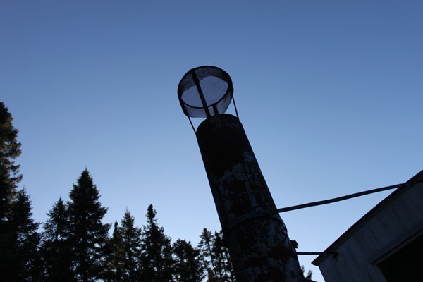Alligator at the Algonquin Park Logging Museum