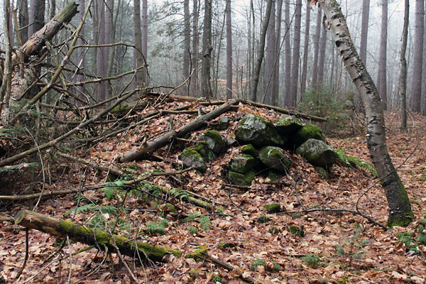 rock pile on Branstead farm site in Petawawa Research Forest