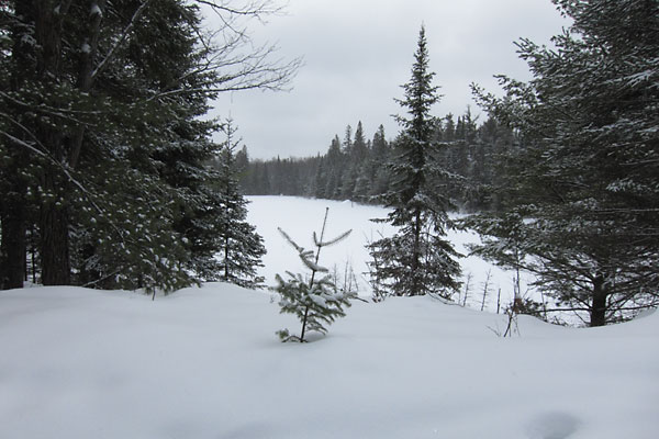 Picnic spot along the HSA trail in the Petawawa Research Forest