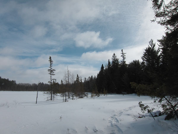 Maunsell Lake in the Petawawa Research Forest