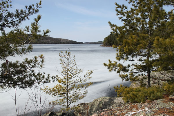 ice covered Grand Lake in Algonquin Park