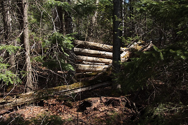 old logging camp on Gilmour Lake in the Brent Crater in Algonquin Park