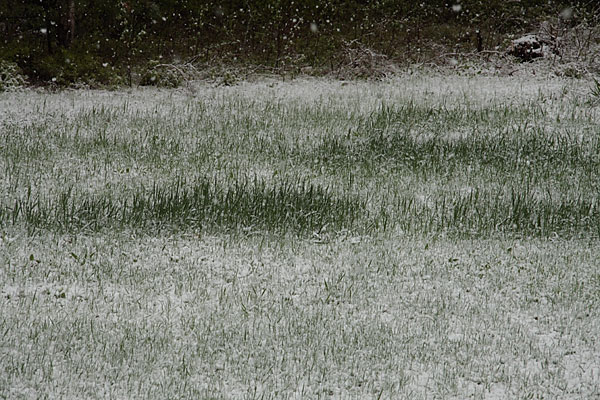 late season snow