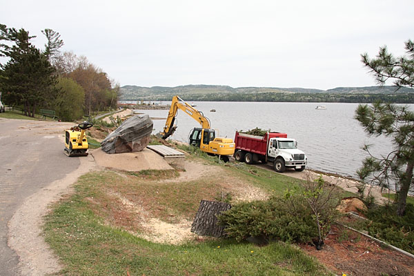 removal of white pines at Centennial Rock in Deep River