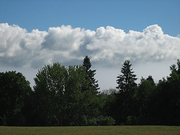 Hill park in Deep River