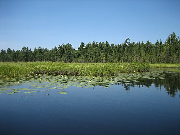 North River  near North River Lake  in Algonquin Park