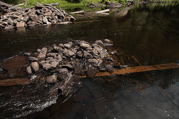 some old pilings at the Cascades on the Barron River in Algonquin Park