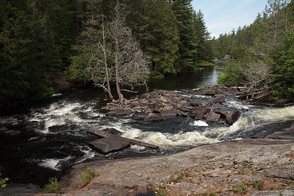 The Cascades on the Barron River in Algonquin Park