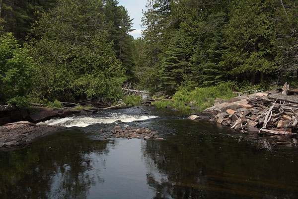 path of log chute at the Cascades on the Barron River in Algonquin Park