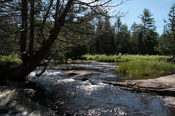 Carcajou Creek at Carcajou Falls in Algonquin Park