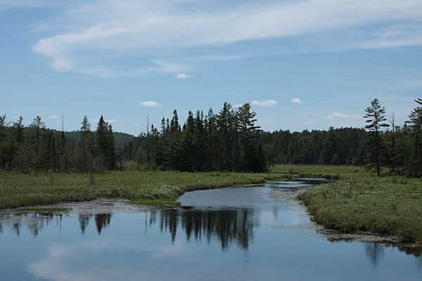 Carcajou Creek in Algonquin Park