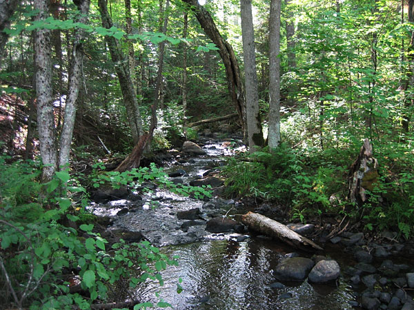 Kennedy Creek along the Silver Spoon Ski Trails in Deep River