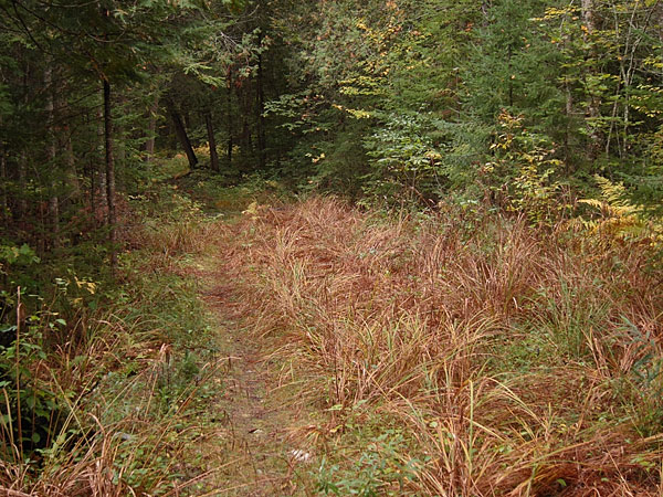 along the DRXC ski trail system