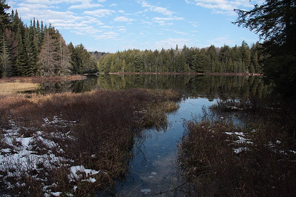 along the Hemlock Bluff Trail in Algonquin Park