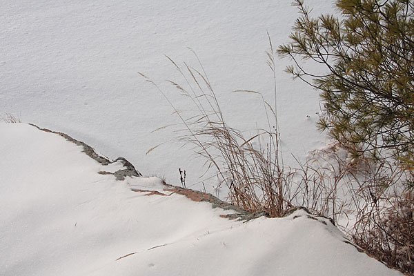 Maunsell Lake in the Petawawa Research Forest
