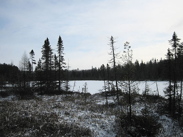 Maunsell Lake in the Petawawa Research Forest