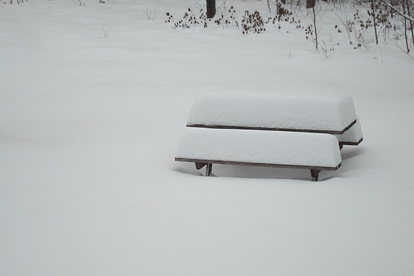 picnic table snow gauge