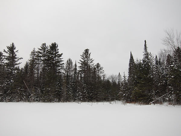 small pond along the HSA Ski Trail in the Petawawa Research Forest