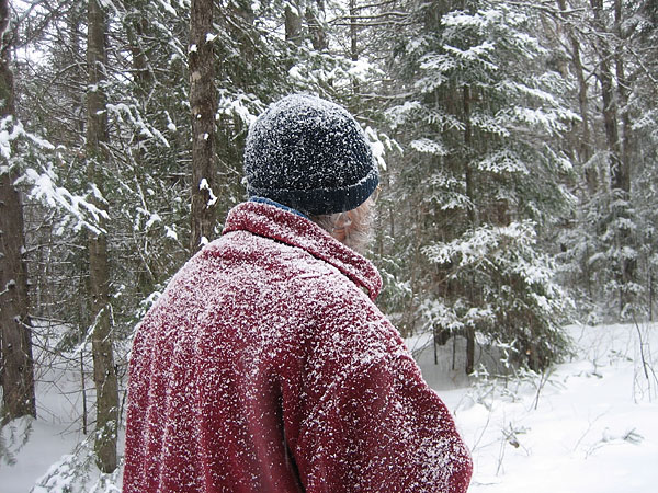 around the yard in Point Alexander