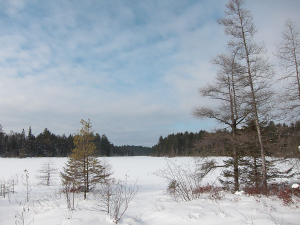 Maunsell Lake in the Petawawa Research Forest