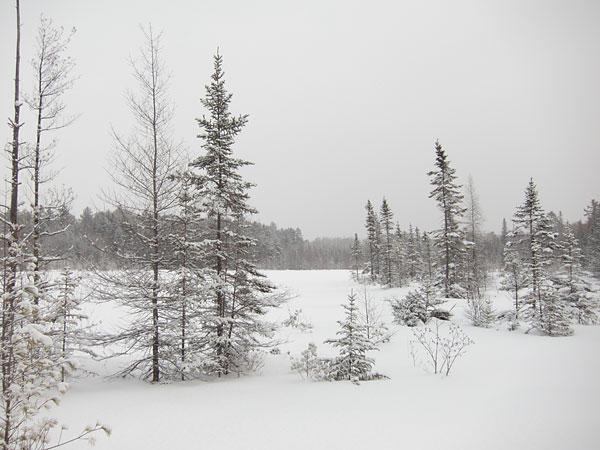 Maunsell Lake in the Petawawa Research Forest
