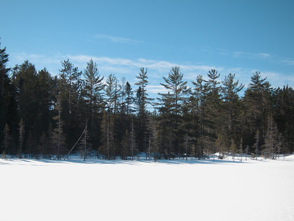 Maunsell Lake in the Petawawa Research Forest
