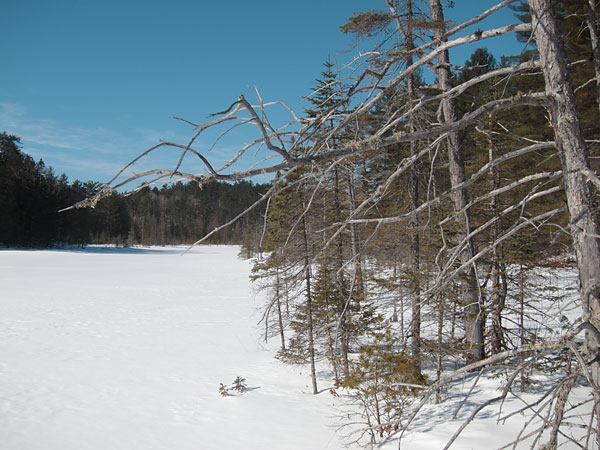 Maunsell Lake in the Petawawa Research Forest