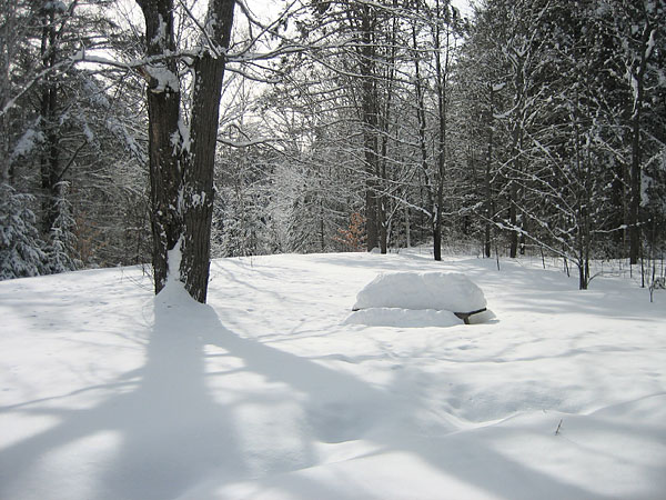 picnic table snow gauge