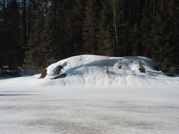Maunsell Lake in the Petawawa Research Forest