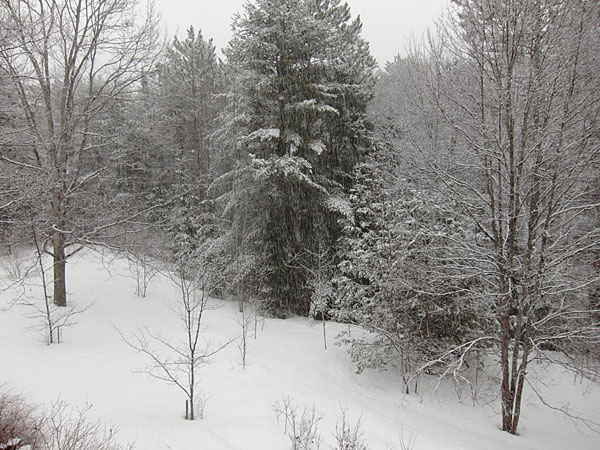 late season snow in Point Alexander