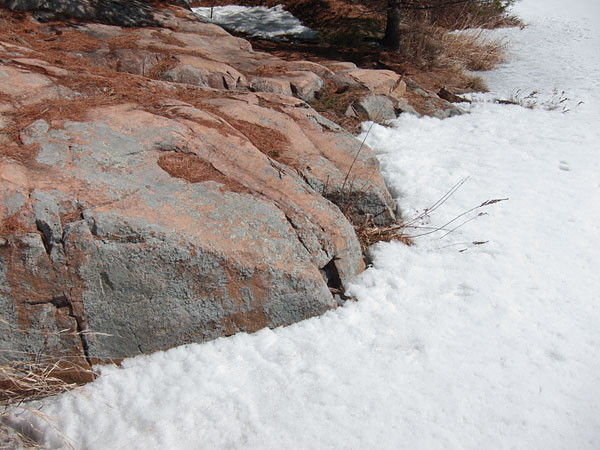 pink granite and grey lichen at Maunsell Lake in the Petawawa Research Forest