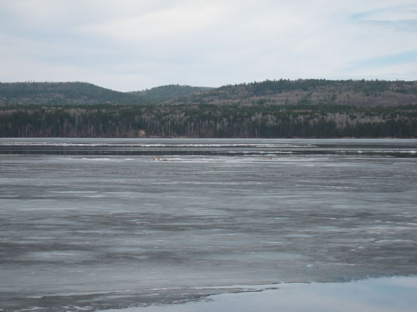 ice on the Ottawa River at Deep River